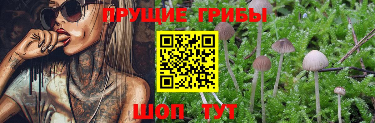 Псилоцибиновые грибы Magic Shrooms  Псилоцибиновые грибы MAGIC MUSHROOMS  Кунгур  Вход с VPN 