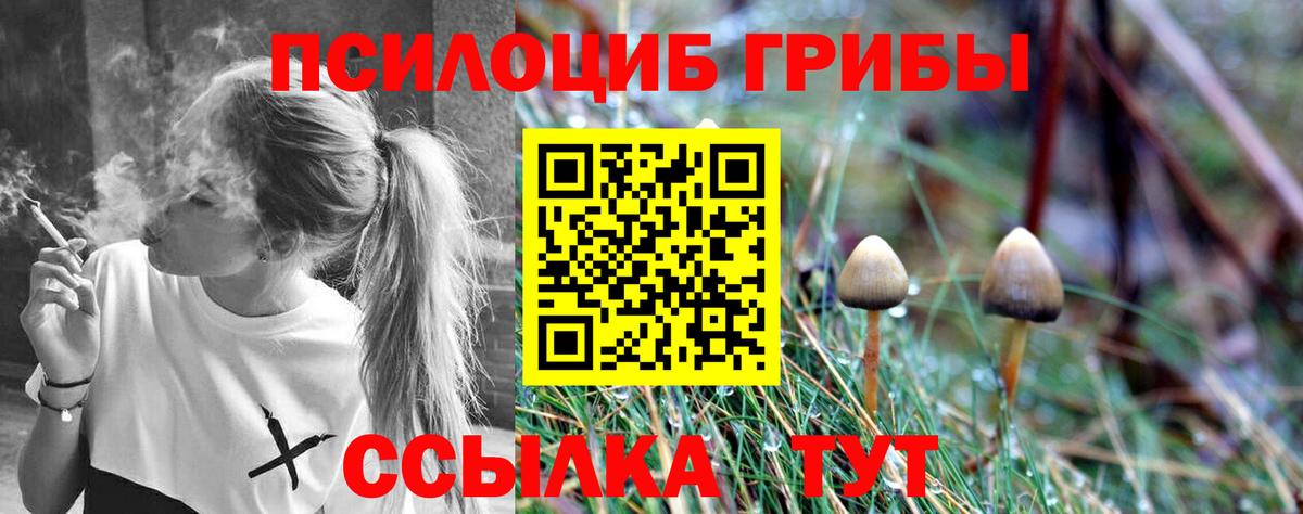 Псилоцибиновые грибы Cubensis Кунгур